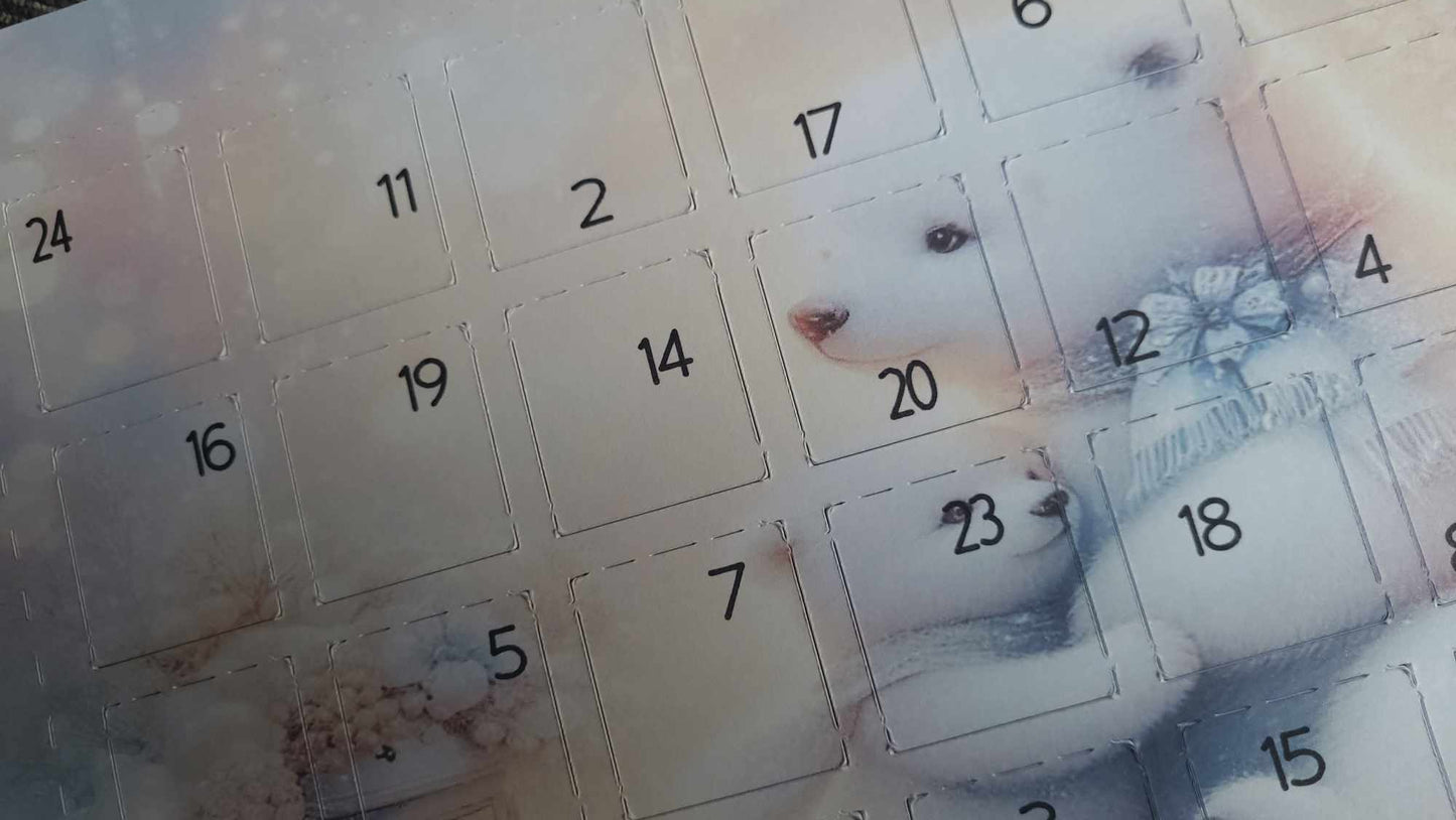 Christmas Advents & Advent Mould - 24 Days