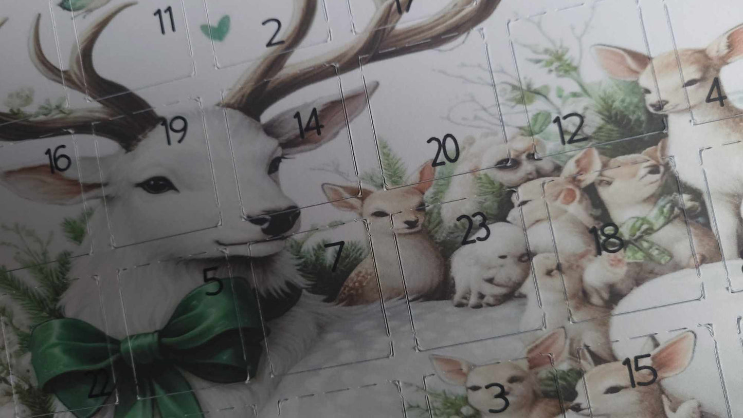 Christmas Advents & Advent Mould - 24 Days