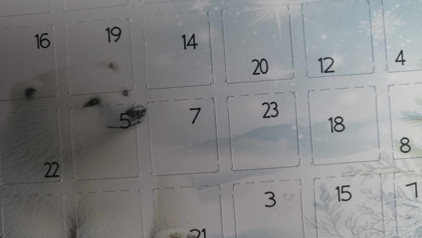 Christmas Advent Calendar Box Packaging & Advent Mould